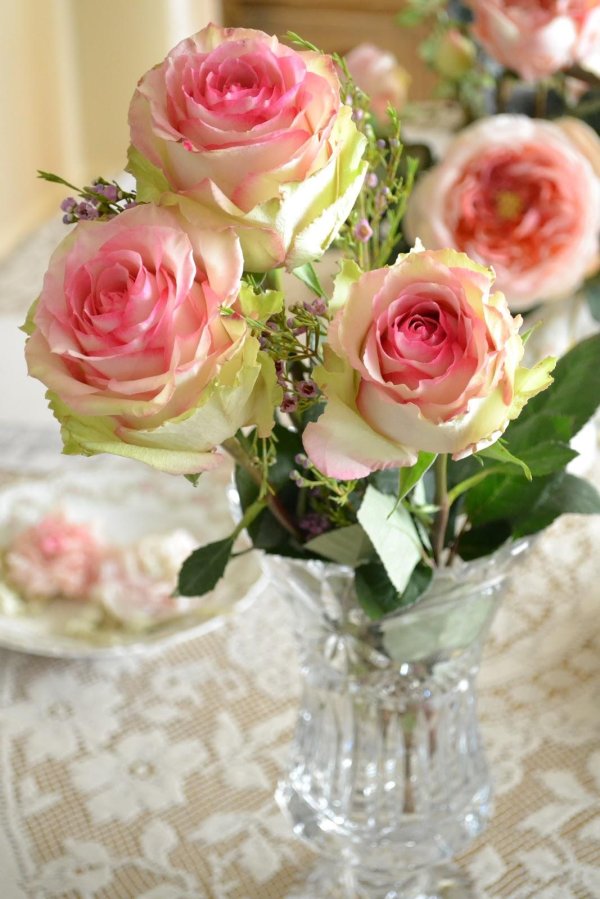 роза эсперанс