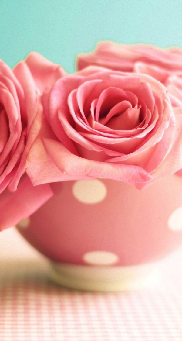 красивая цветок