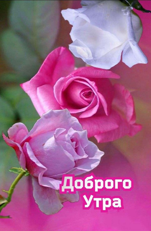 доброе утро виктория