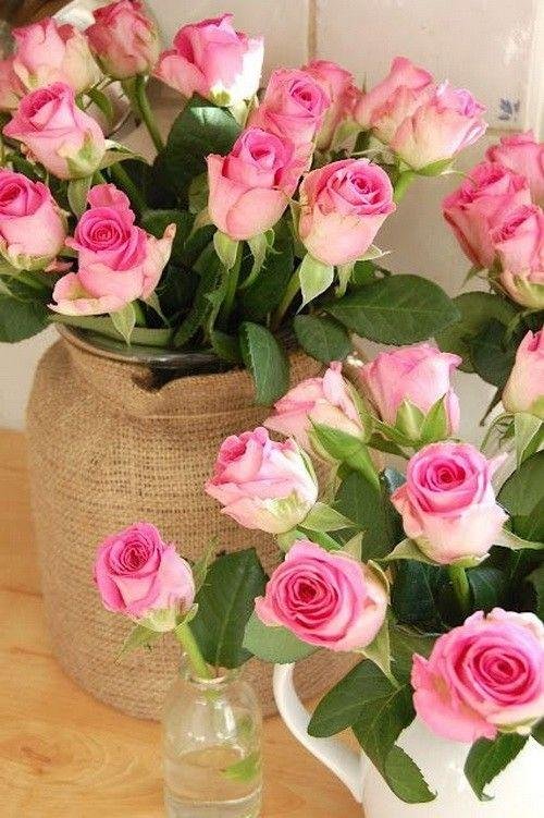 розы и цветы