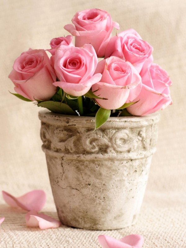 ваза с розовыми розами