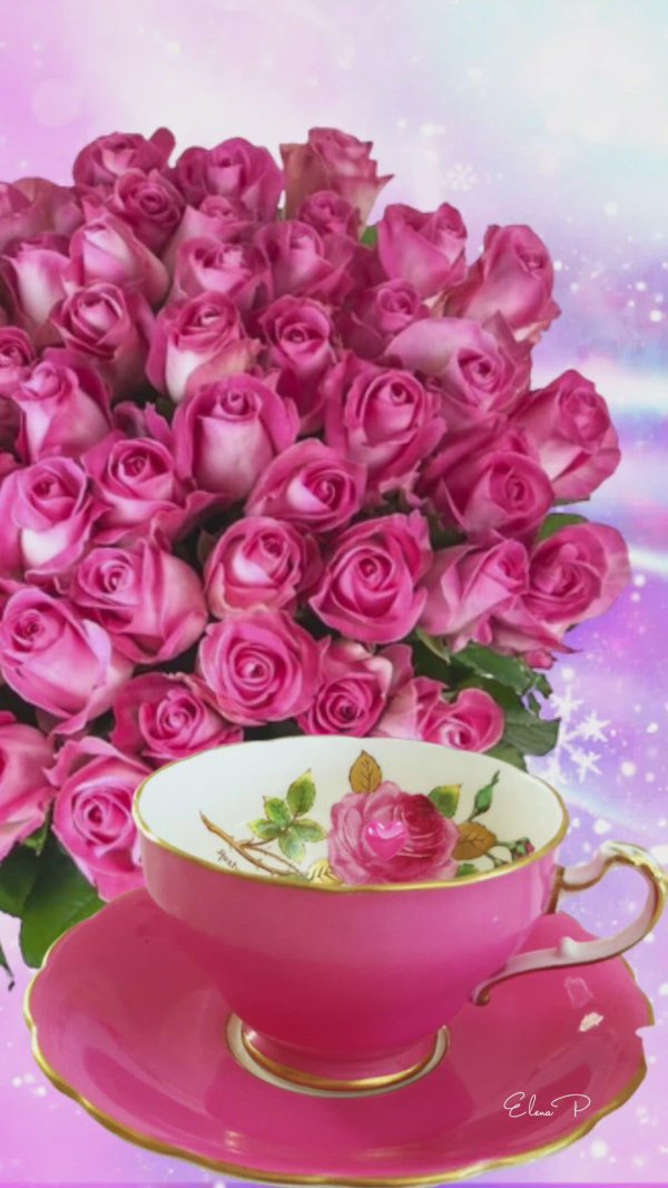 доброго утра цветы