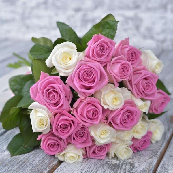 букет 25 розовых роз аква