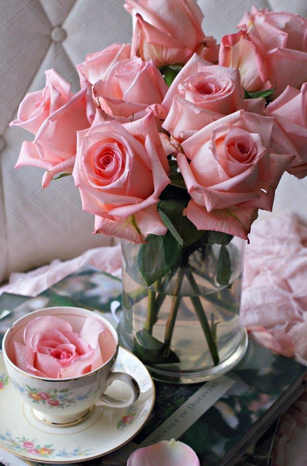 доброго утра розы