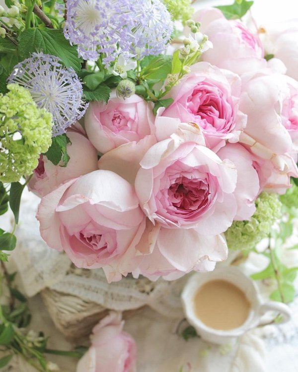 цветок красивый