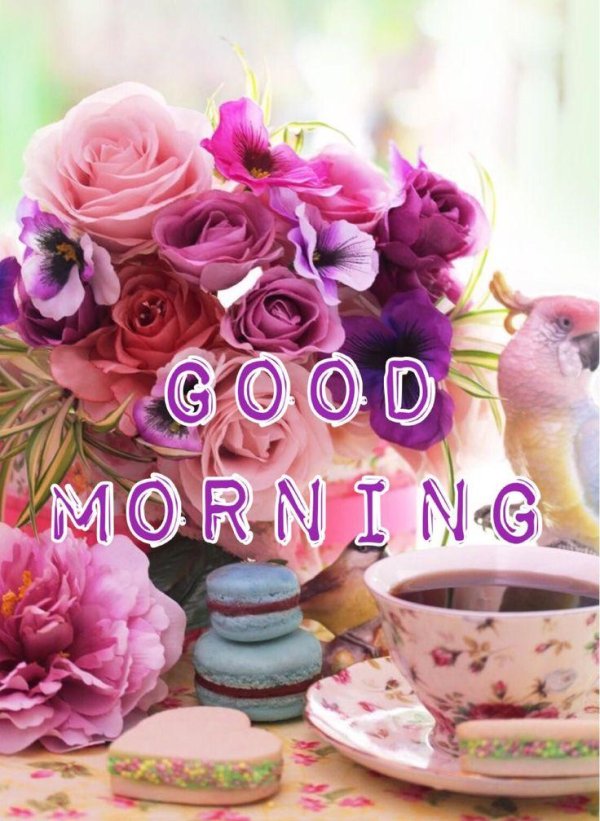 утренние цветы