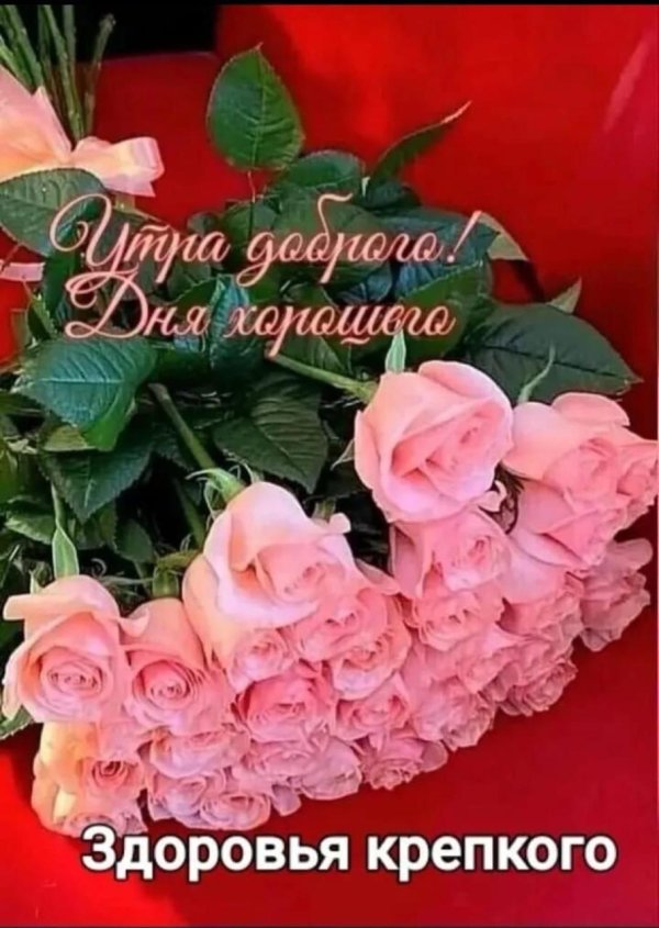 поздравительная открытка