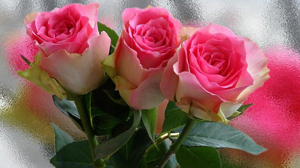 марина с день рождения