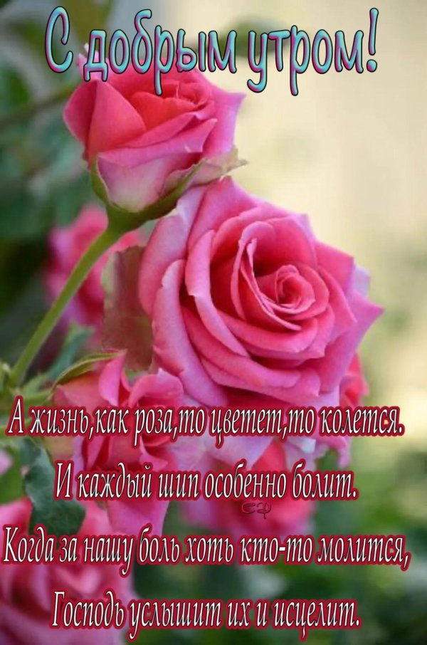 доброго утра пожелание