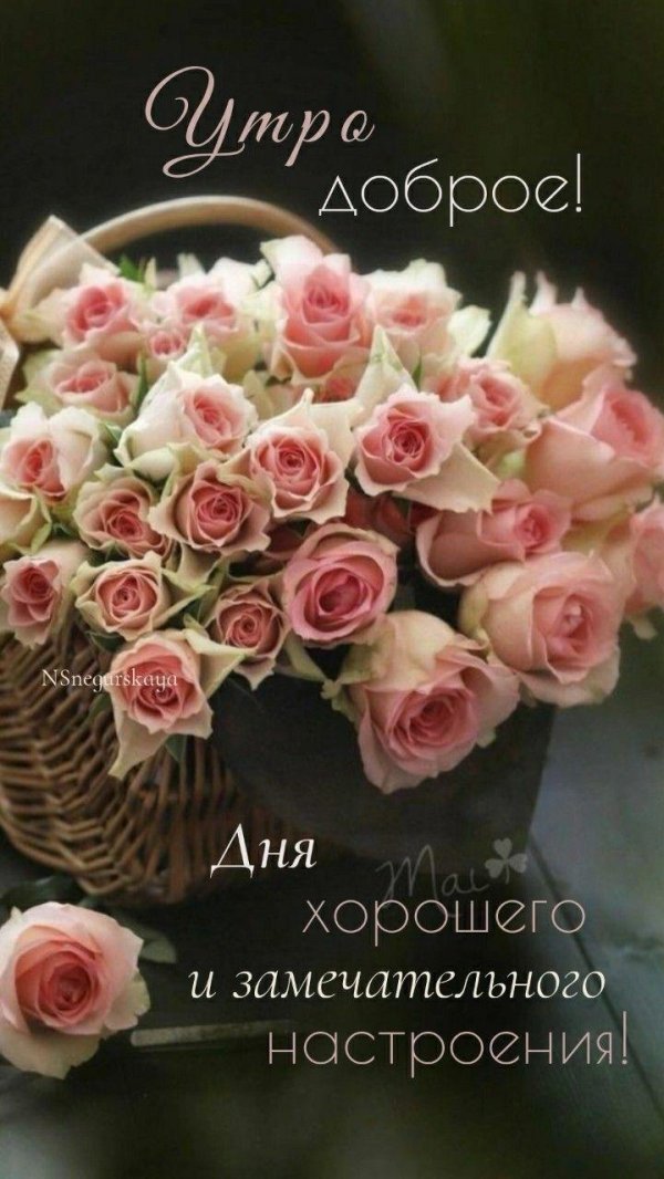 добра утра