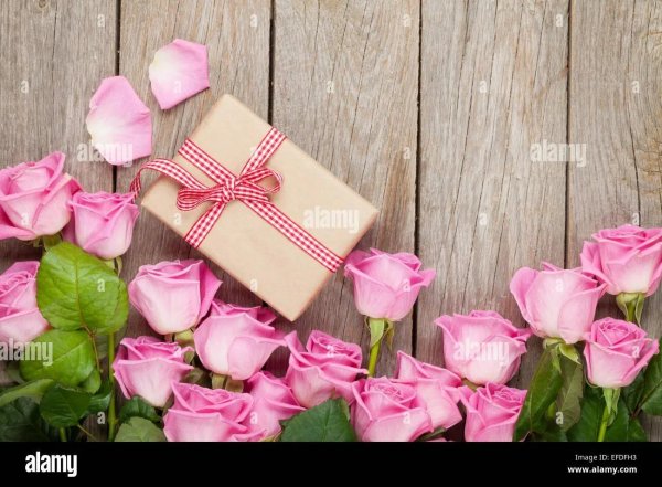 розовая роза