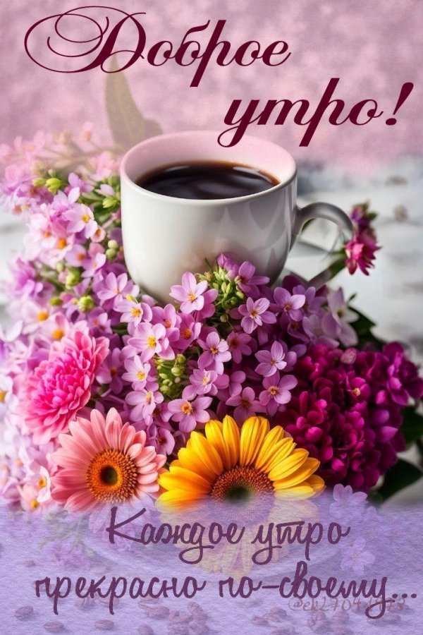 красивого утра