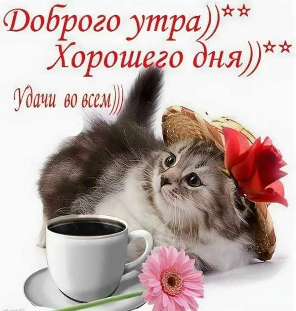 доброе утро хорошего дея