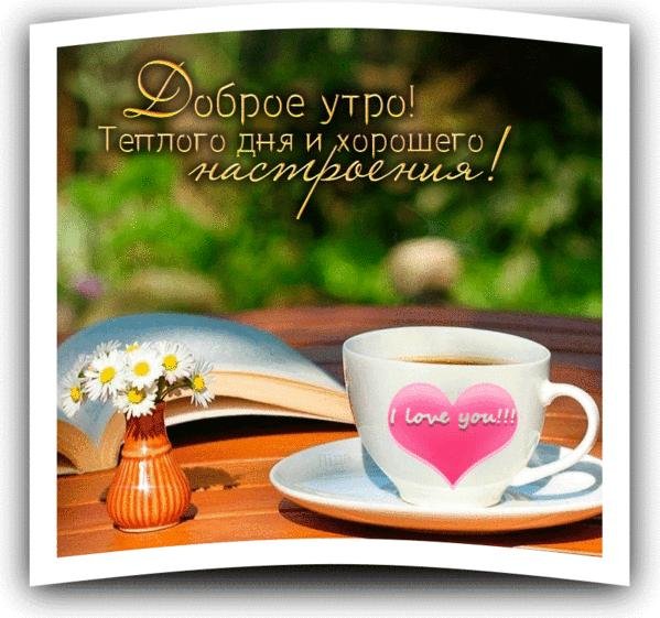 хорошего теплого дня