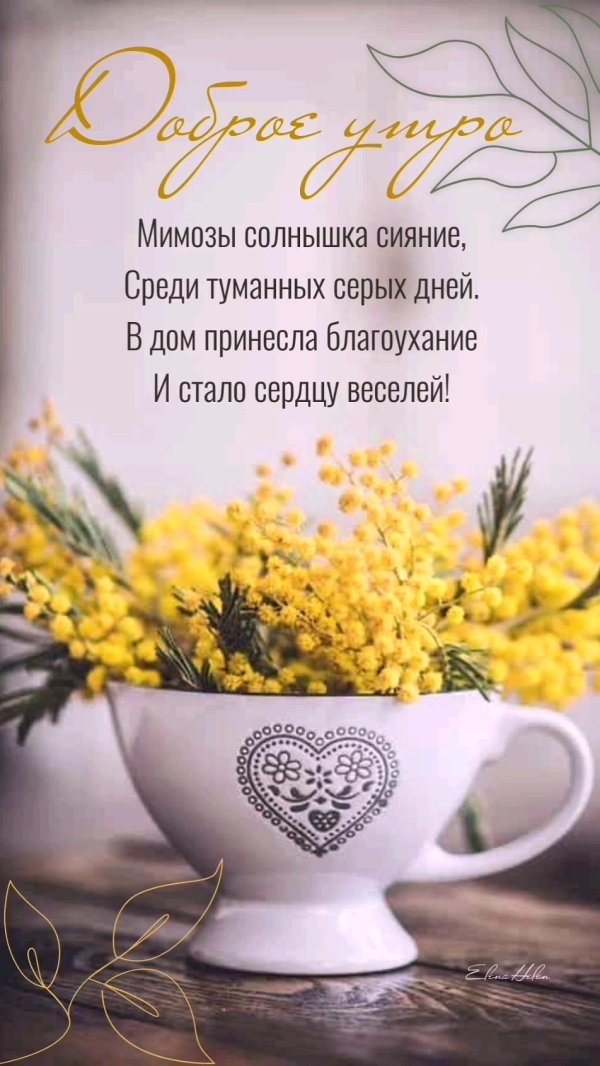 доброго утра весна