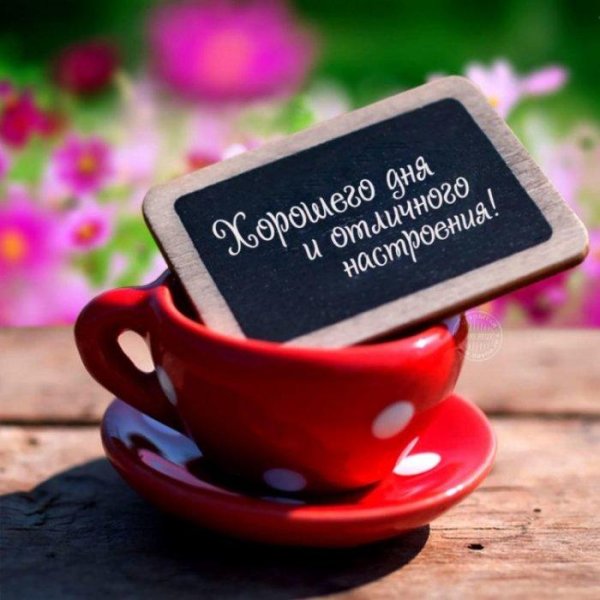 хорошего дня мудрые