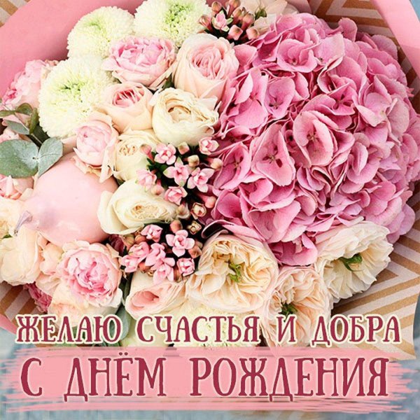 гортензия пионовидная