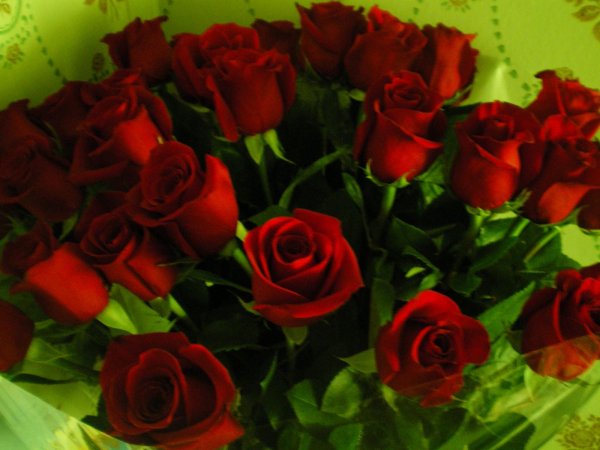 букет роза