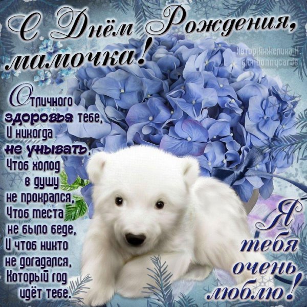 красивый медвежонок