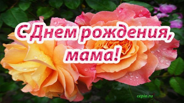 маме в день рождения