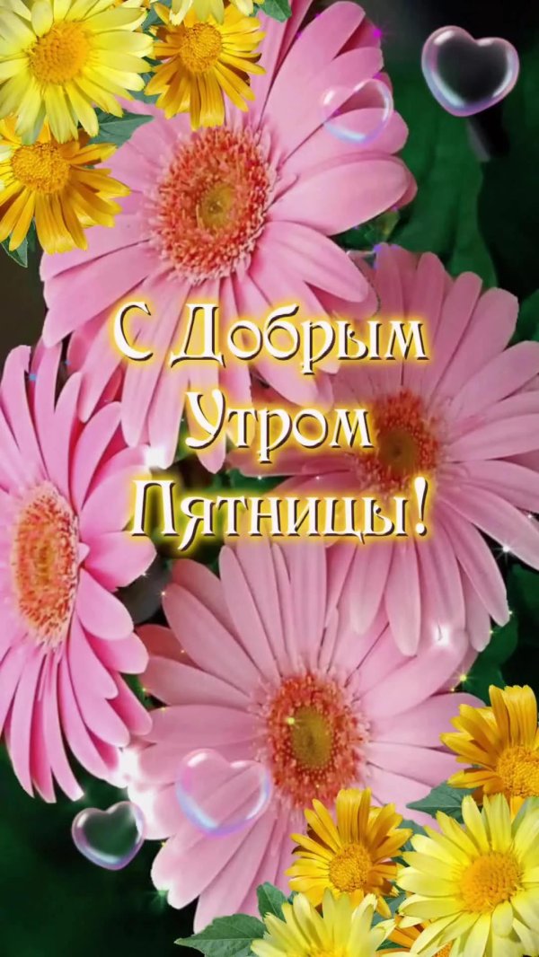 чудесной пятницы