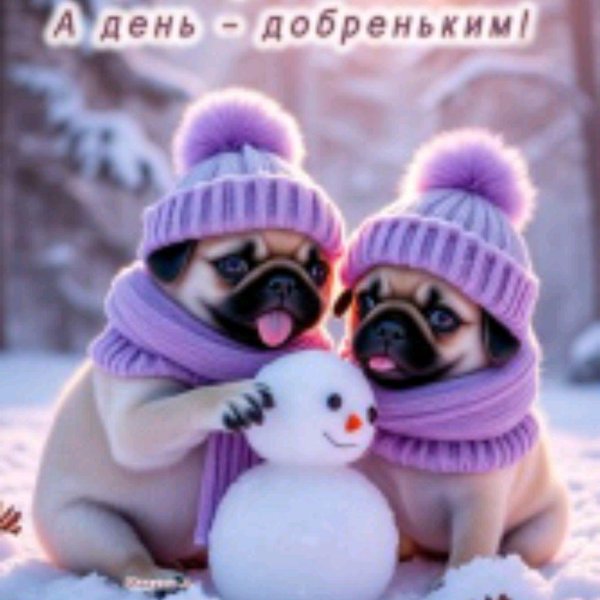 новогодние мопсы