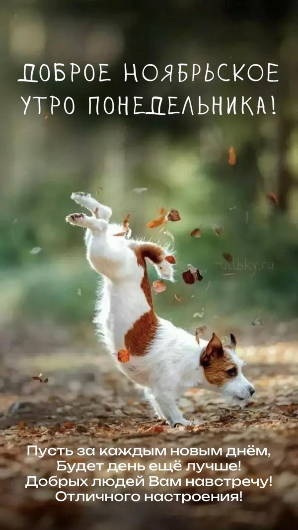 доброе ноябрьское утро воскресенья