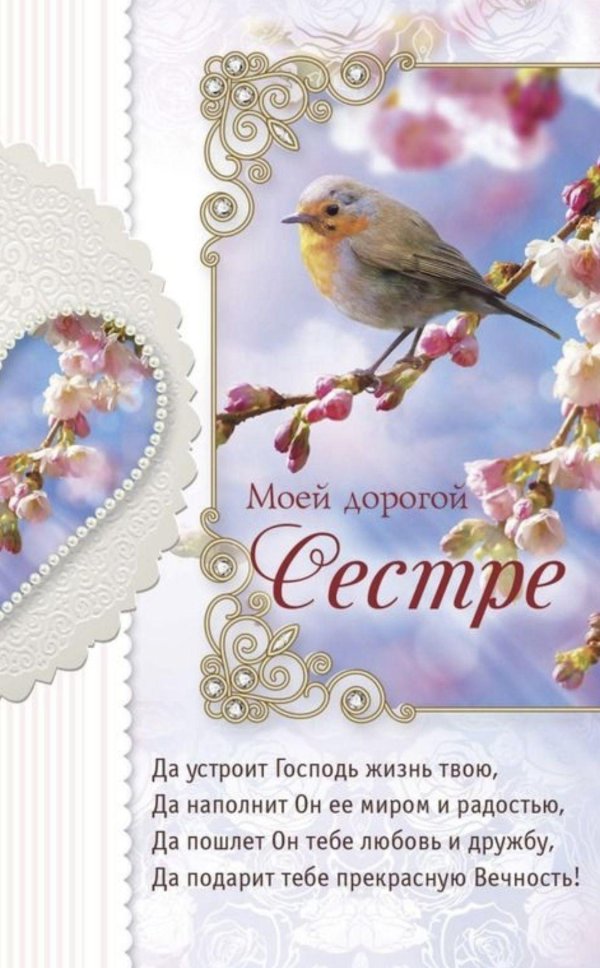 моя дорогая сестра