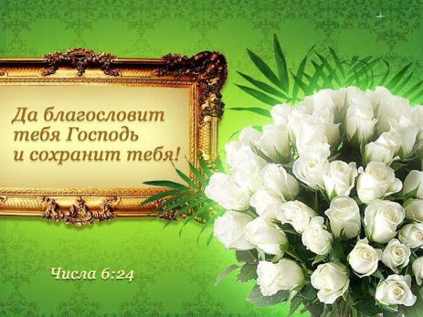 благослови тебя господь