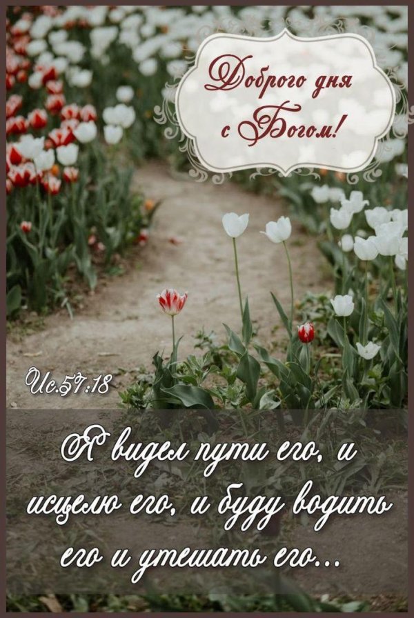 библейские стихи