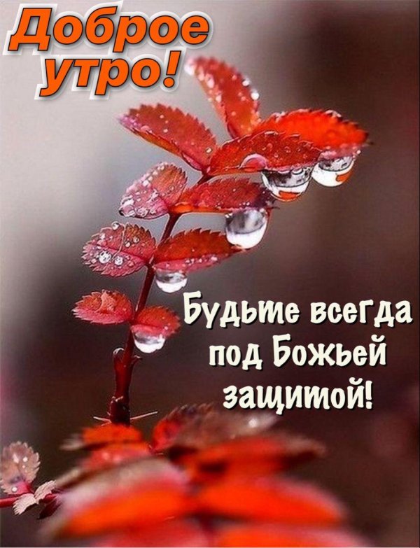 осенняя роса