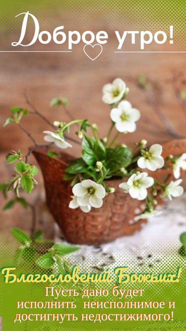 с добрым утром божьего благословения