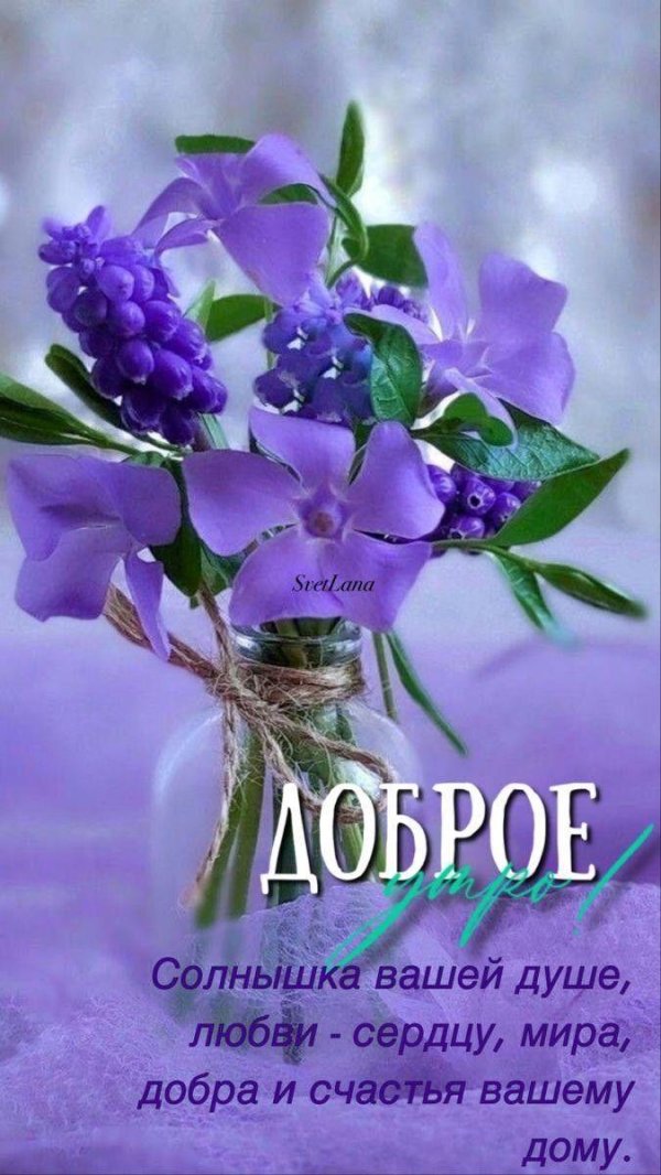 с добрым утром