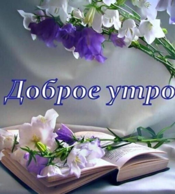 цветы и книга