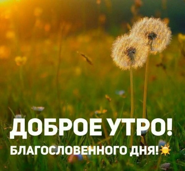 доброго утра благословенного дня