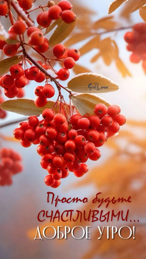 осень рябина