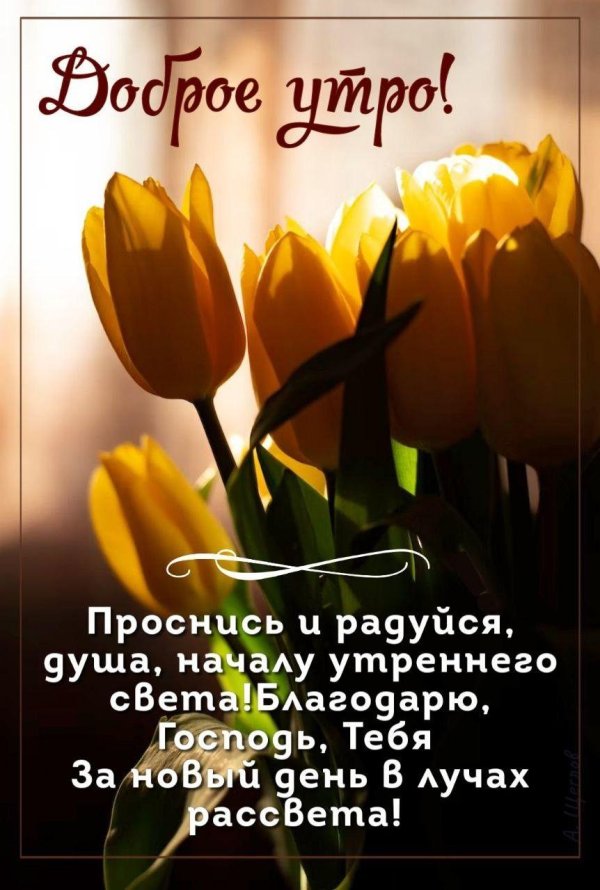 добра утра