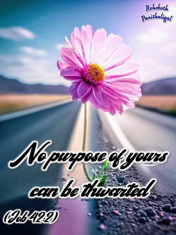 цитата о счастье