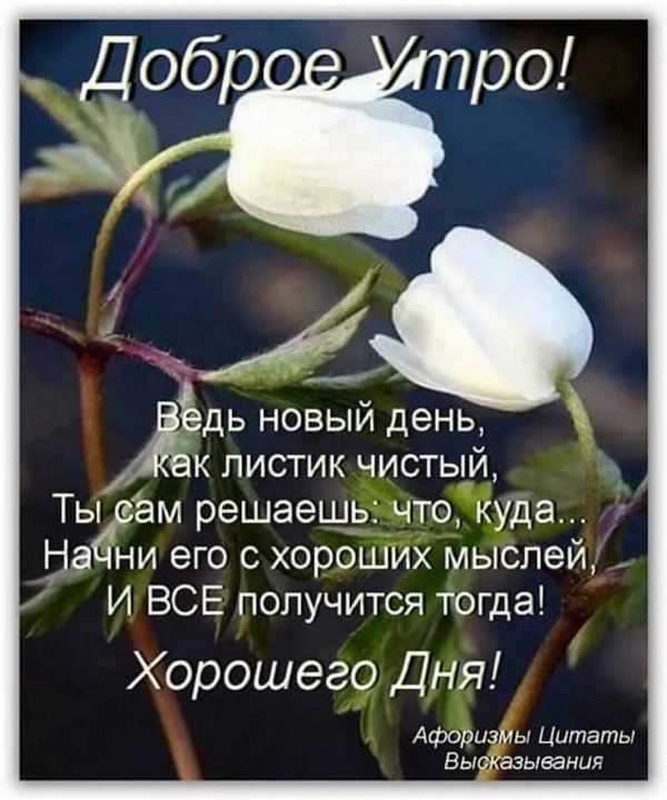 а новый день как листик чистый