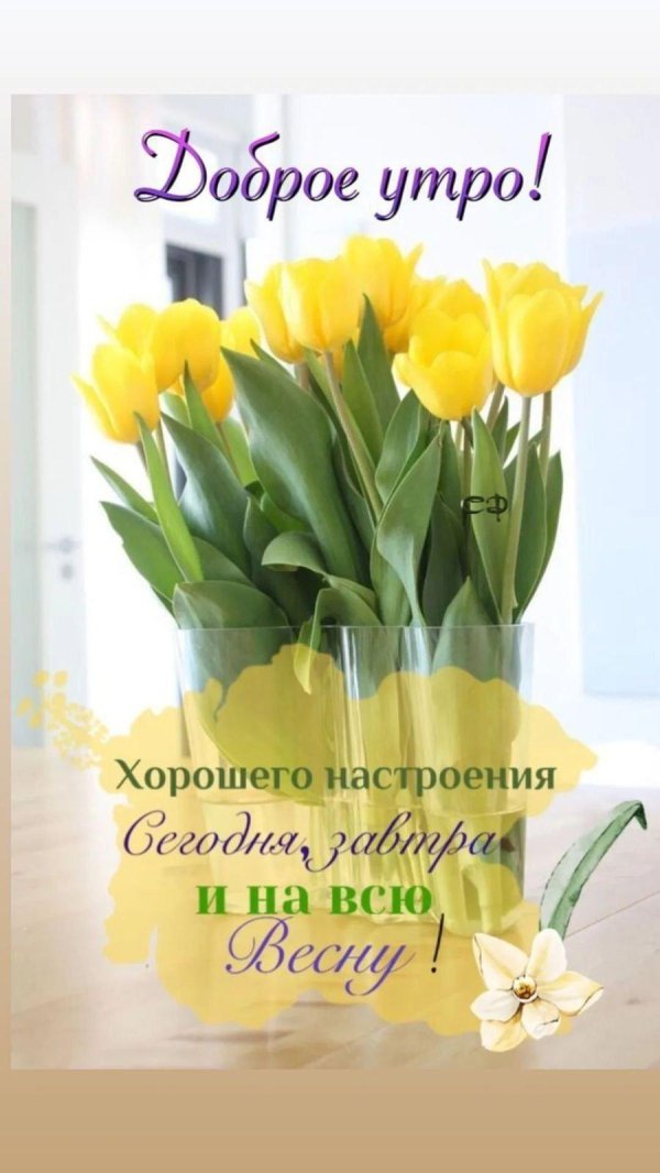 утра доброго весеннего
