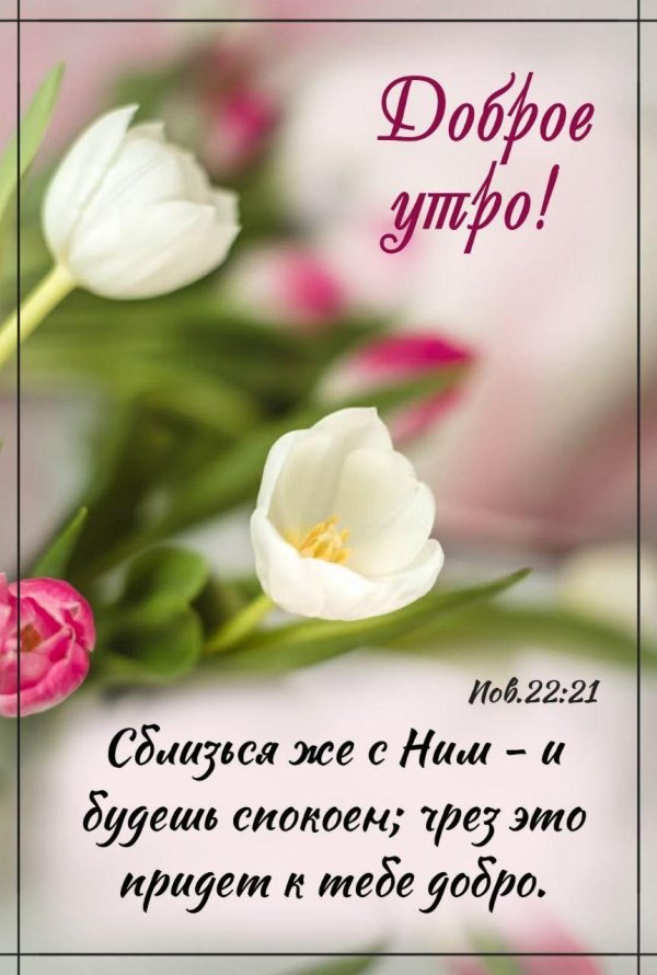 библейские стихи