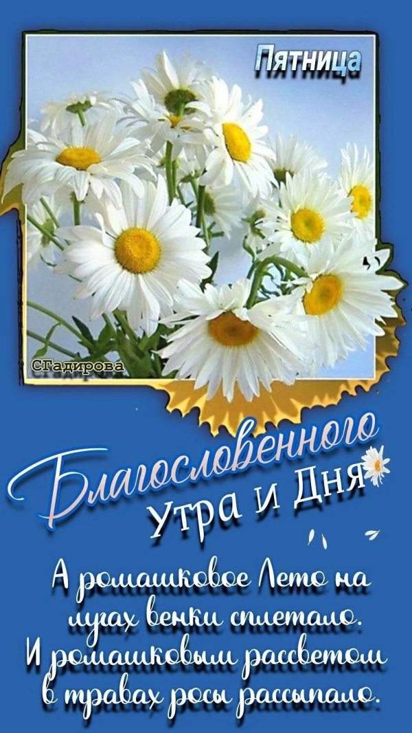 с днём рождения ромашки