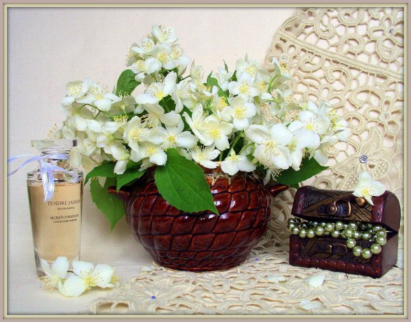 букет жасмина