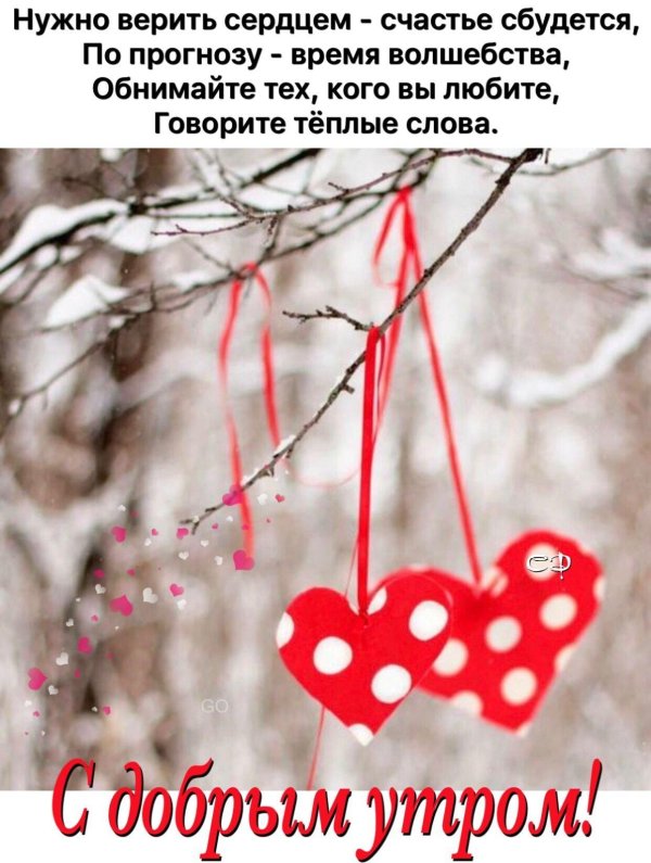 сердце зимой