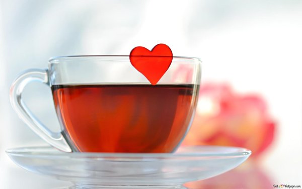 любимый чай