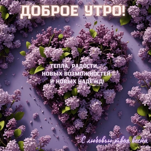 доброе утро сирень