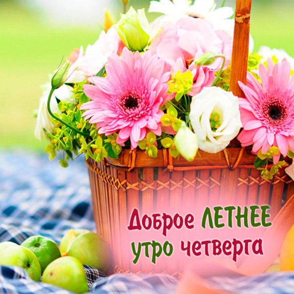 летние открытки