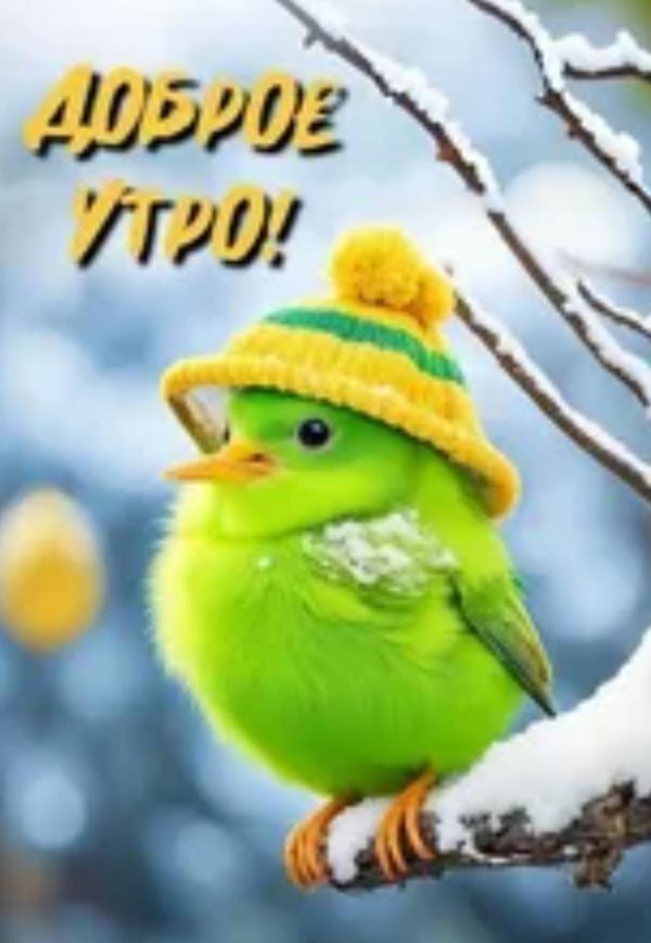 добрейшего весеннего утра