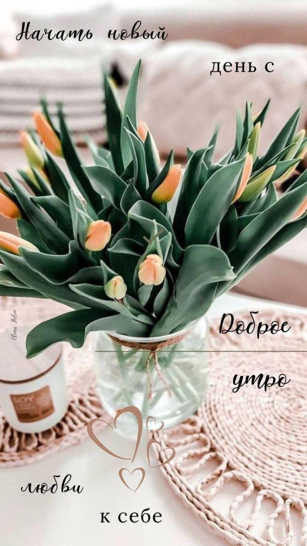 доброго мартовского утра