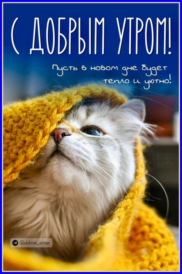 добра утра